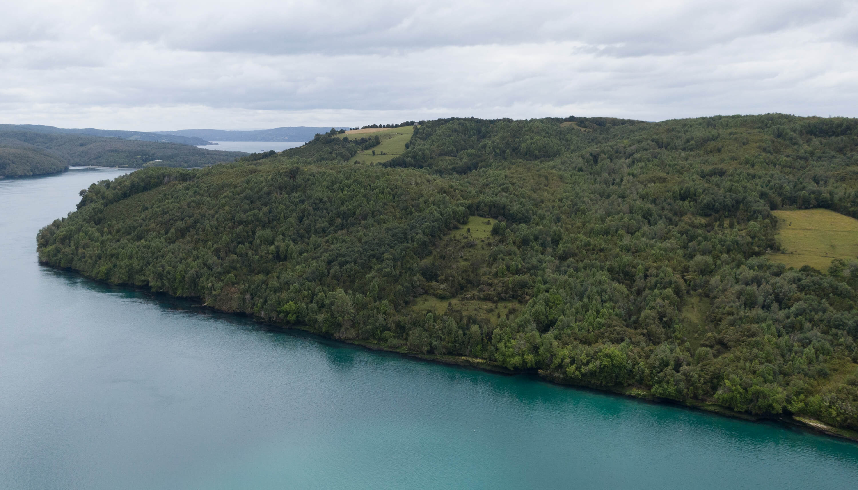 Entre bosques y mares