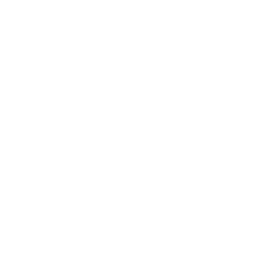 Isabel Margarita Vial